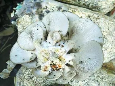 640.webp