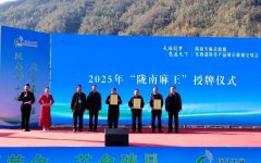 ���أ�һ������ļ�ֵԾ��